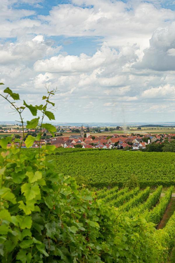 Landgasthof May Willanzheim Esterno foto