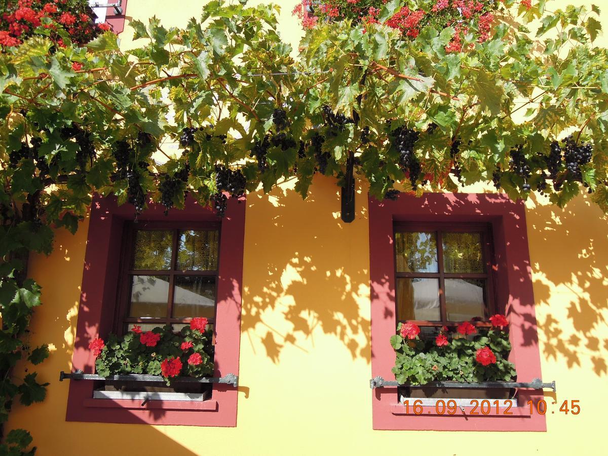 Landgasthof May Willanzheim Esterno foto